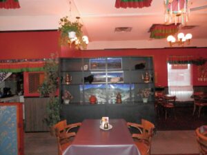 oriental wok