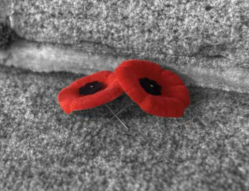 Remembrance day ceremonies across the region